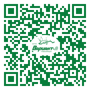 QR-код этой страницы