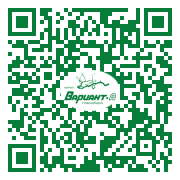 QR-код этой страницы