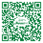 QR-код этой страницы