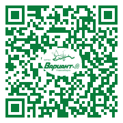 QR-код этой страницы