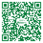 QR-код этой страницы