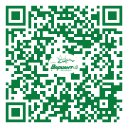QR-код этой страницы