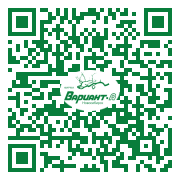 QR-код этой страницы