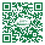 QR-код этой страницы