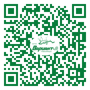 QR-код этой страницы