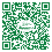 QR-код этой страницы