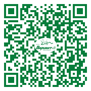 QR-код этой страницы