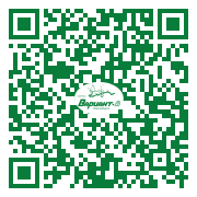 QR-код этой страницы