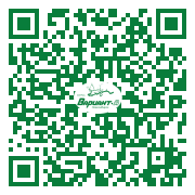 QR-код этой страницы