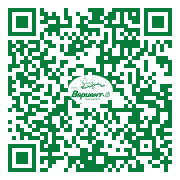 QR-код этой страницы