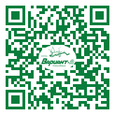 QR-код этой страницы