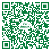 QR-код этой страницы