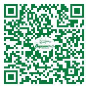 QR-код этой страницы