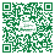 QR-код этой страницы