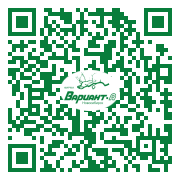 QR-код этой страницы