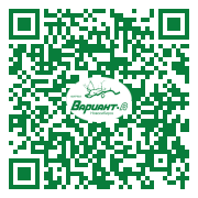 QR-код этой страницы