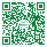 QR-код этой страницы