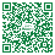 QR-код этой страницы