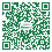 QR-код этой страницы