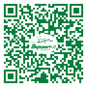 QR-код этой страницы