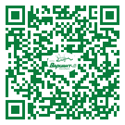 QR-код этой страницы