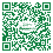 QR-код этой страницы