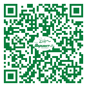 QR-код этой страницы