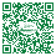 QR-код этой страницы