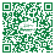 QR-код этой страницы