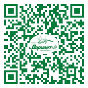 QR-код этой страницы