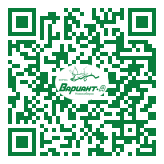 QR-код этой страницы