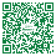 QR-код этой страницы