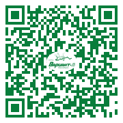 QR-код этой страницы