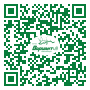 QR-код этой страницы