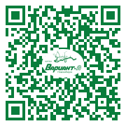 QR-код этой страницы