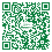 QR-код этой страницы