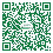 QR-код этой страницы
