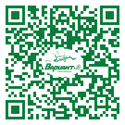 QR-код этой страницы