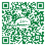 QR-код этой страницы