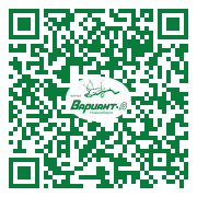 QR-код этой страницы