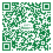 QR-код этой страницы