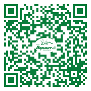 QR-код этой страницы