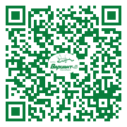 QR-код этой страницы