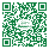 QR-код этой страницы