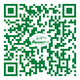 QR-код этой страницы