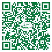 QR-код этой страницы