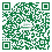 QR-код этой страницы