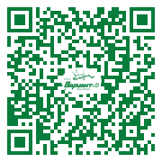 QR-код этой страницы