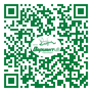 QR-код этой страницы