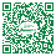 QR-код этой страницы